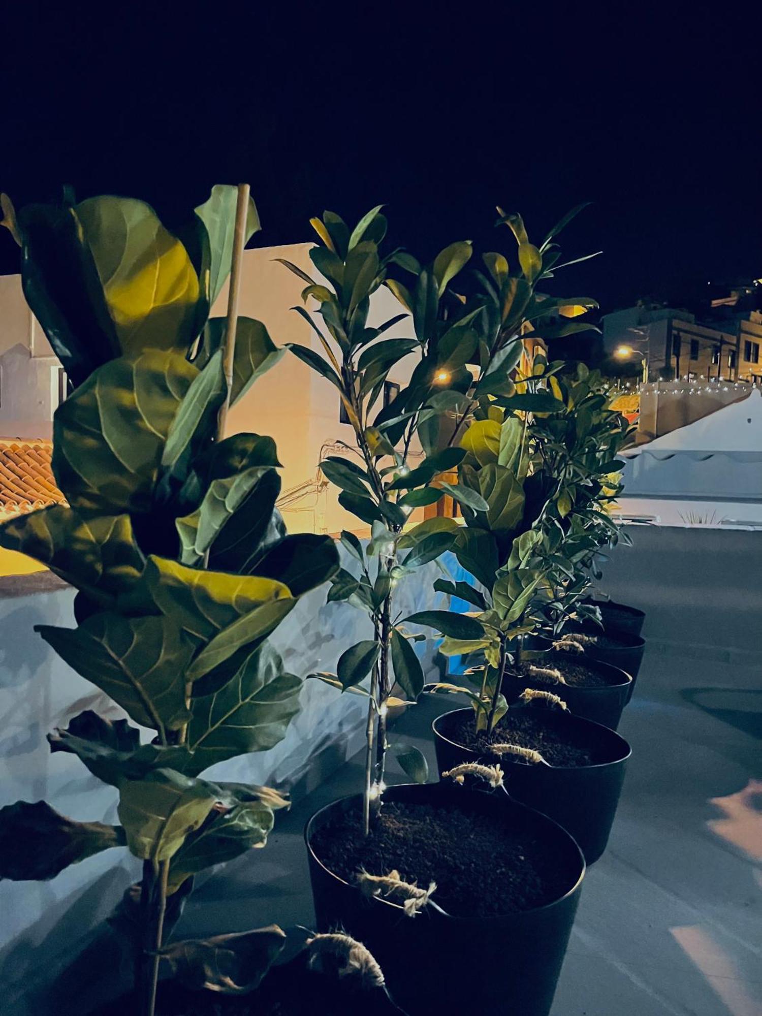 Plaza De La Fuente Granadilla De Abona Tenerife Sur Only Adults Con Terraza Privada Exterior foto